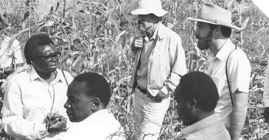 Black-and-white photo of four men and woman in a field of what dry corn stalks. 